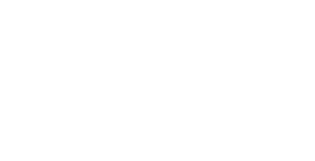 Enlight Runway 1331 Logo